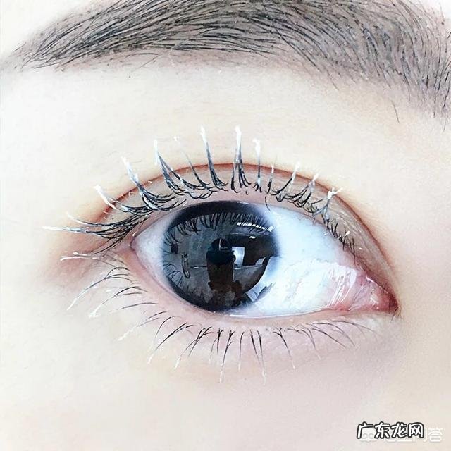 有什么平价好用的日本彩妆推荐吗?