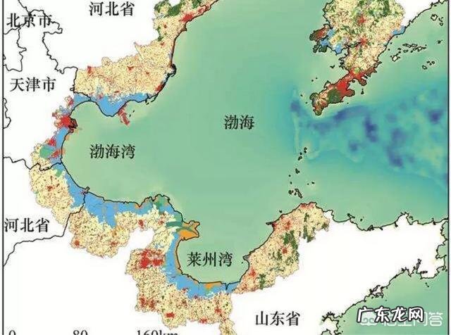 同样是沿海,为什么青烟威海边有草、有树、有绿化,而潍坊海边就是盐碱地?