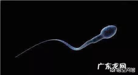 刚查出怀孕要注意什么?