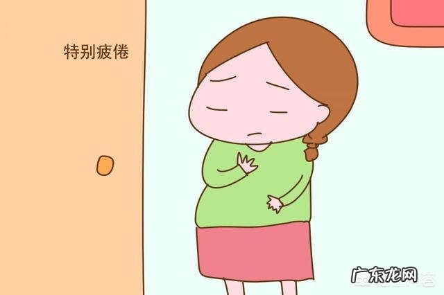 刚查出怀孕要注意什么?