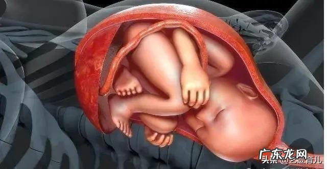 孕晚期胎动总在右边正常吗?对胎儿有没有影响?