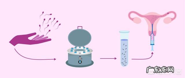 人工授精和试管婴儿,花费各是多少?