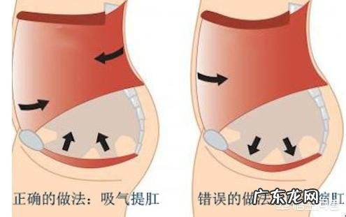 怎样正确进行提肛运动?