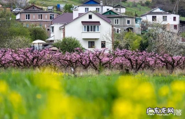 夏天有的人总是被蚊咬,跟血型有关还是跟衣服颜色有关或者是其它原因?