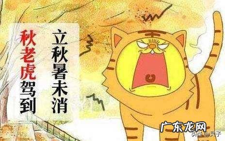 农村俗语“立秋不下雨,二十四个秋老虎”,到底什么意思?什么是秋老虎,厉害吗?