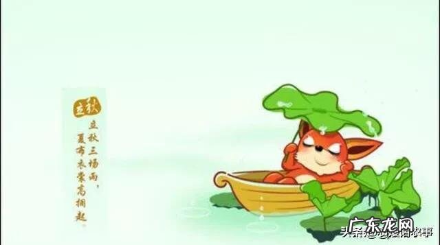 农村俗语“立秋不下雨,二十四个秋老虎”,到底什么意思?什么是秋老虎,厉害吗?