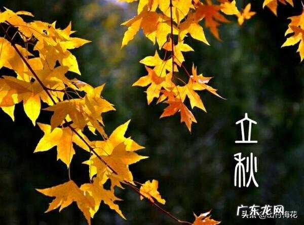 农村俗语“立秋不下雨，二十四个秋老虎”，到底什么意思？什么是秋老虎，厉害吗？