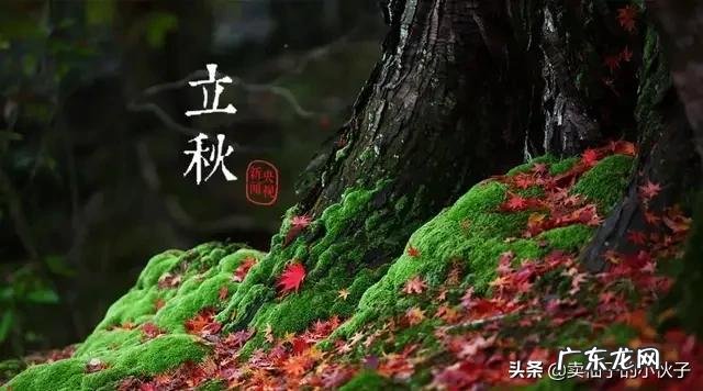 农村俗语“立秋不下雨，二十四个秋老虎”，到底什么意思？什么是秋老虎，厉害吗？