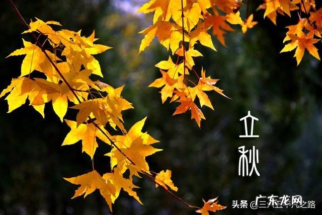 农村俗语“立秋不下雨,二十四个秋老虎”,到底什么意思?什么是秋老虎,厉害吗?