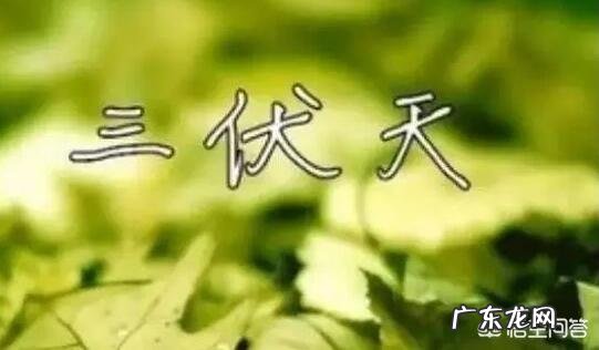 “秋老虎”和“三伏天”谁比较热？