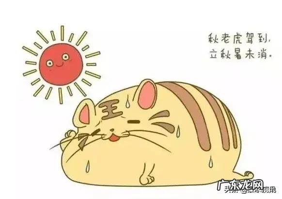 “秋老虎”和“三伏天”谁比较热?