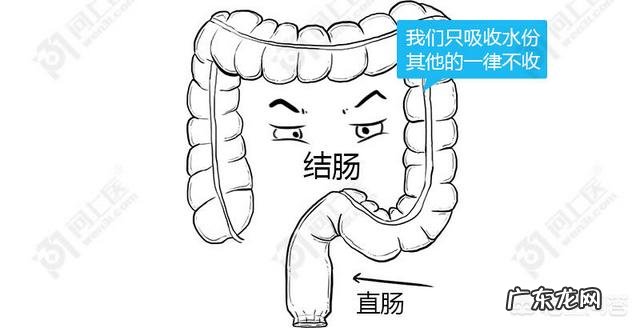 早起喝一杯淡盐水,真的好吗?