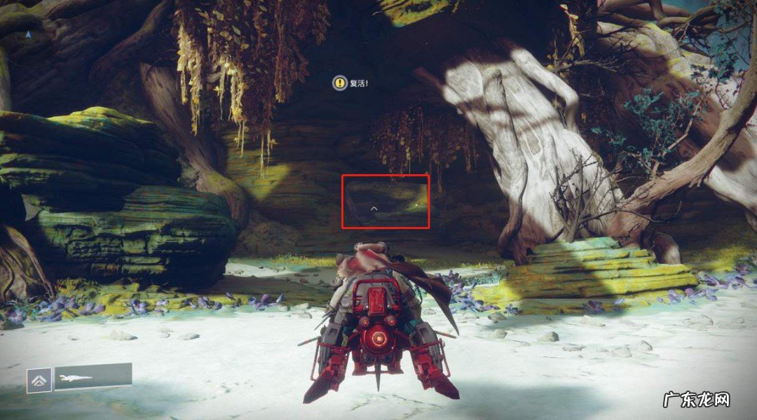 命运2蠕虫低语在哪里