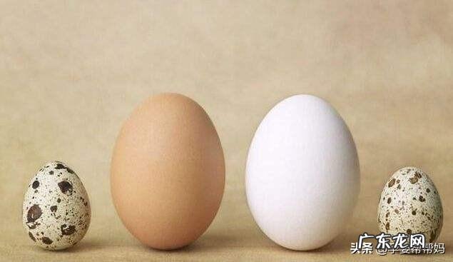鹌鹑蛋、鸡蛋、鸽子蛋哪个营养价值更高,是给婴幼儿吃?注意什么?
