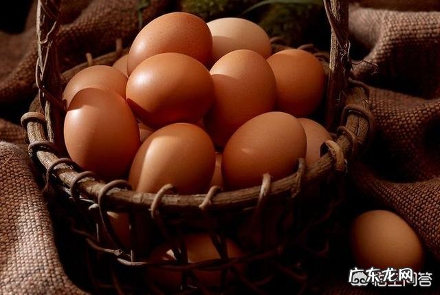 鹌鹑蛋、鸡蛋、鸽子蛋哪个营养价值更高,是给婴幼儿吃?注意什么?
