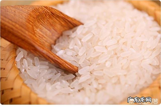 什么叫做粳米?
