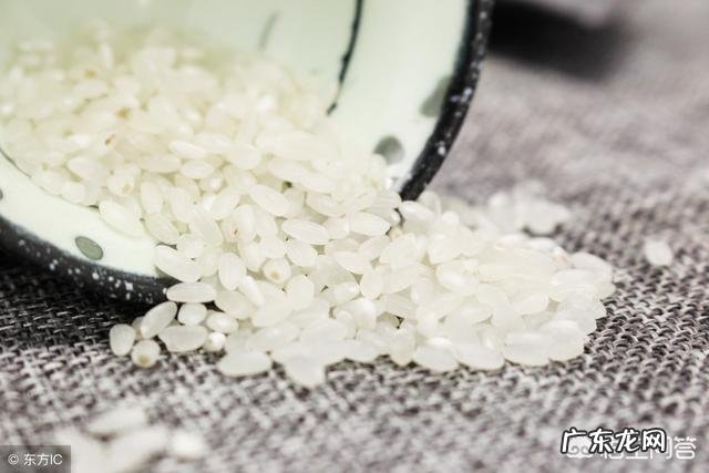 什么叫做粳米?