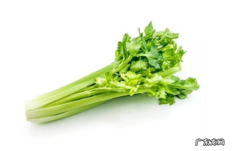 冬季吃什么菜最养生