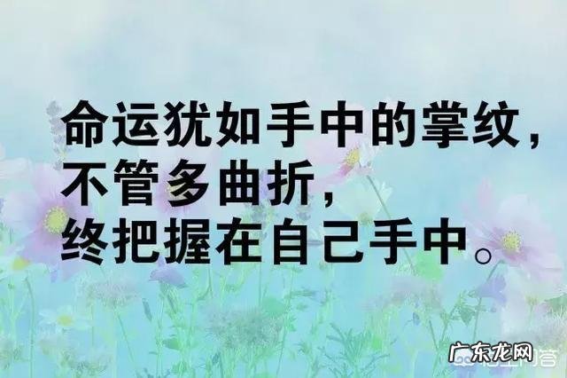 有哪些发朋友圈的人生感悟语录?