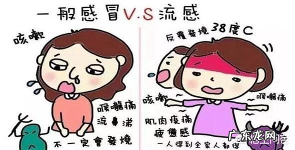 感冒到底是什么?