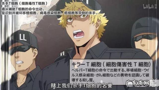 感冒到底是什么?