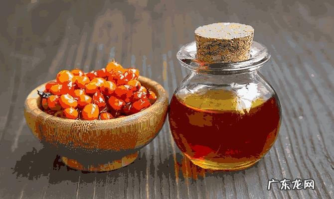 有人知道沙棘吗?有什么价值?