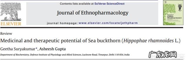 有人知道沙棘吗?有什么价值?
