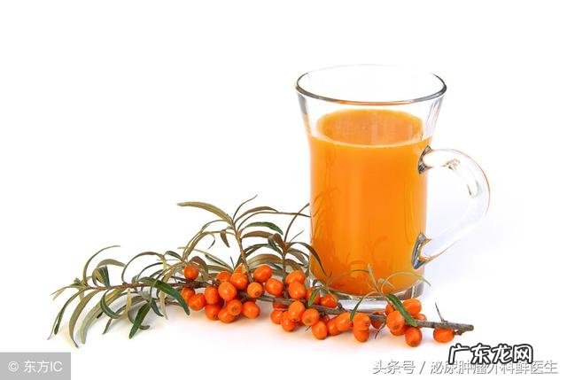 有人知道沙棘吗？有什么价值？