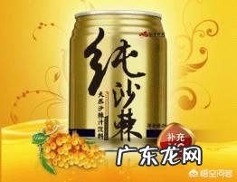 有人知道沙棘吗?有什么价值?