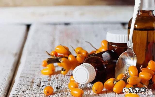 有人知道沙棘吗？有什么价值？