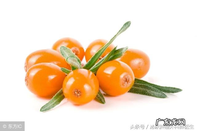 有人知道沙棘吗？有什么价值？