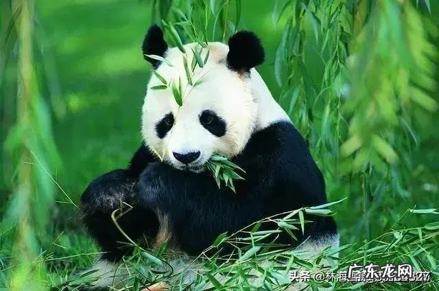 有的科学家预测在2045年可能实现永生,从此人类无自然死亡,人越来越多,地球能承受吗?