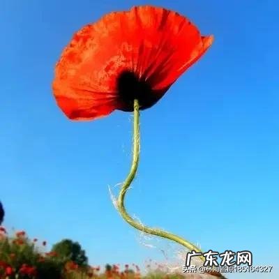 有的科学家预测在2045年可能实现永生,从此人类无自然死亡,人越来越多,地球能承受吗?