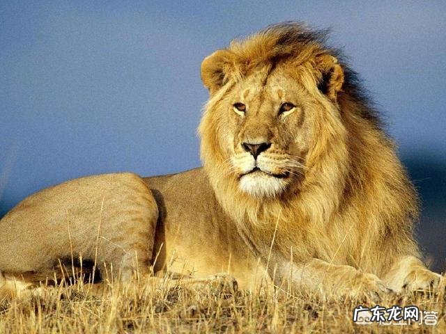 你觉得企业文化包括什么?