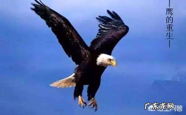 你觉得企业文化包括什么?