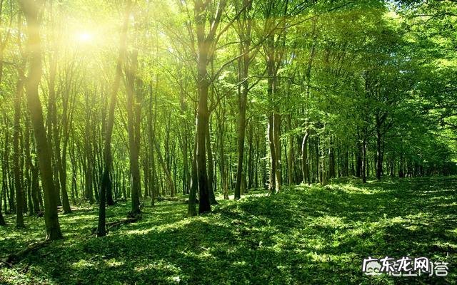 你觉得企业文化包括什么?