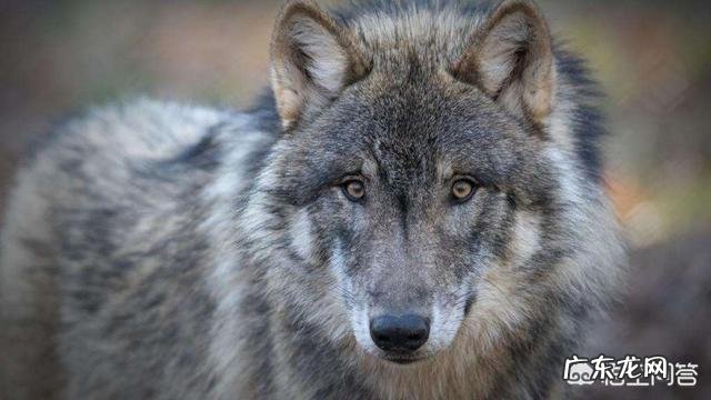 你觉得企业文化包括什么?