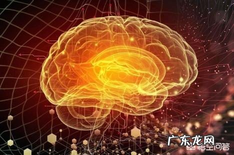 小孩的大脑潜能开发有多重要？