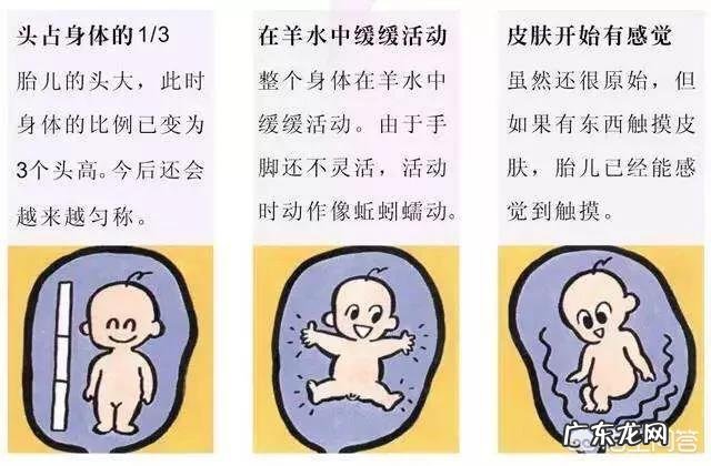 怀孕十四周多，已经有胎动了，是缺氧吗？该怎么办？