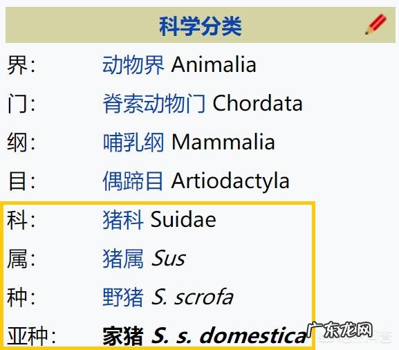 有人说,汉语比较难学,那么怎样才能学好汉语?