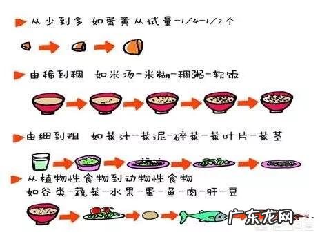 七个月的宝宝开始添加什么样的辅食呢？