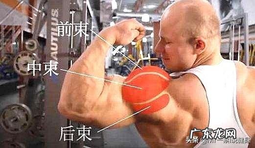 如何用亚铃练三角肌?