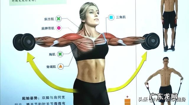 如何用亚铃练三角肌?