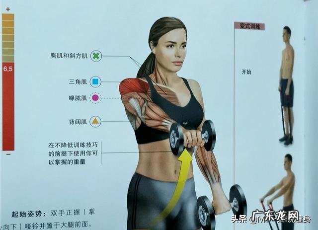 如何用亚铃练三角肌?