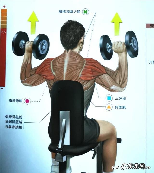 如何用亚铃练三角肌?