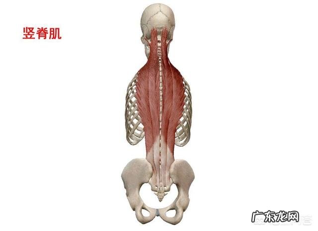 五十四岁腰肌劳损怎么办?