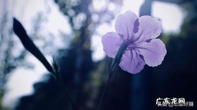 摄影拍摄的思路一般是什么?大家都怎样整理摄影思路?