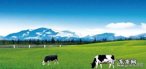 有机奶粉好不好?和普通奶粉有区别吗?