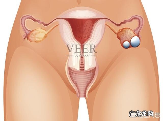 卵巢肿瘤的早期症状如何预防卵巢肿瘤?