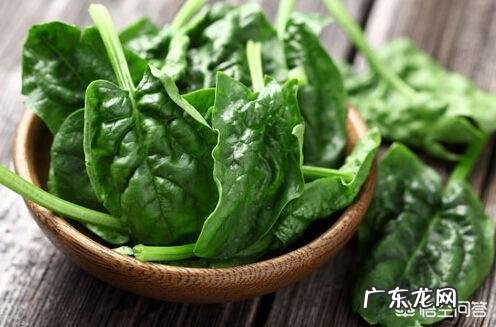 吃什么菜能养肝?